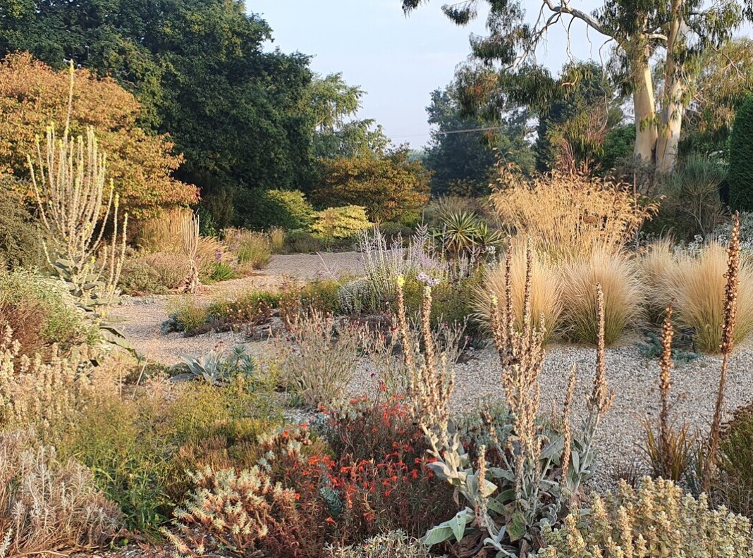 Xeriscaping – víztakarékos kertépítés mérsékelt övi válaszokkal